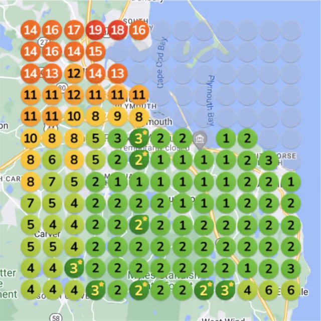 Salon local rank grid after